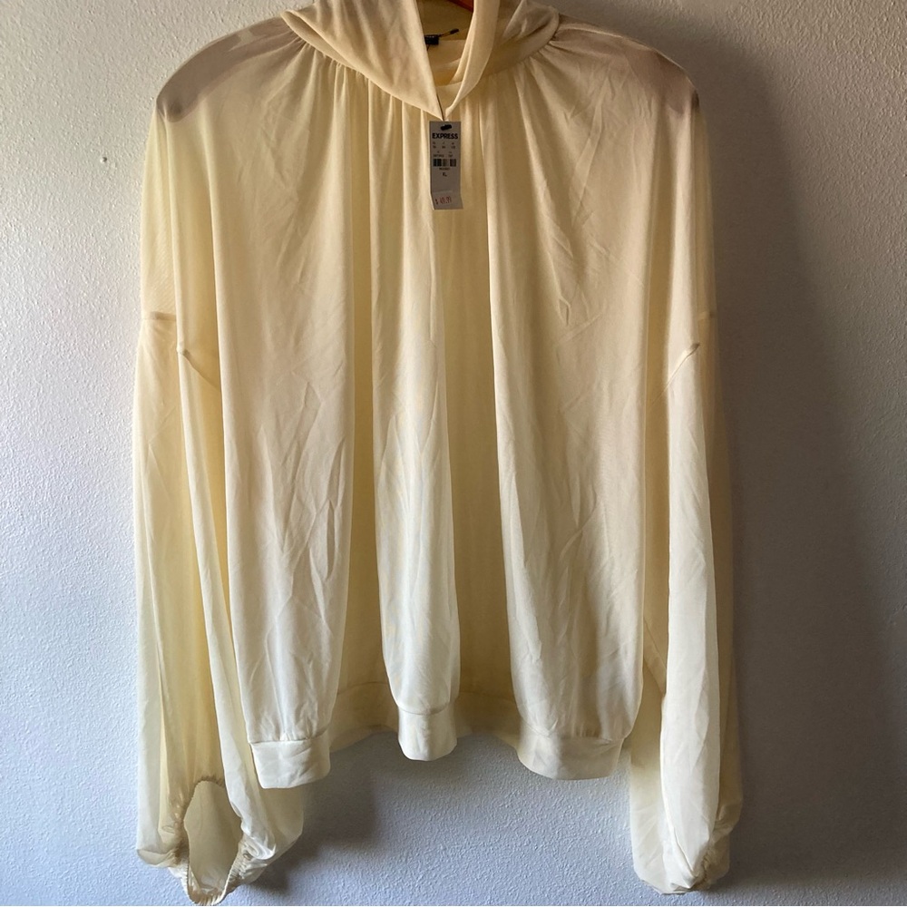 NWT Express Sheer Cream Pullover Mock Turtleneck